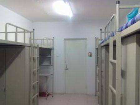 ���ɹ�ؔ����W��211�����ڱ�������͘I�ʸ߆᣿����l�����ӣ�