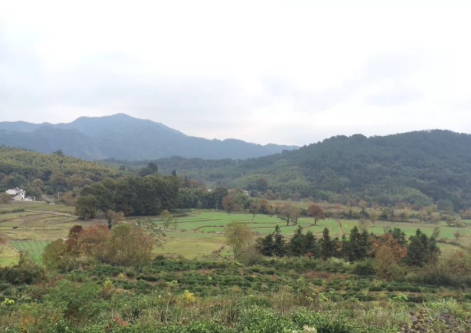 繼續教育是什么文憑和大專哪個好?學歷有用嗎和自考的區別是什么