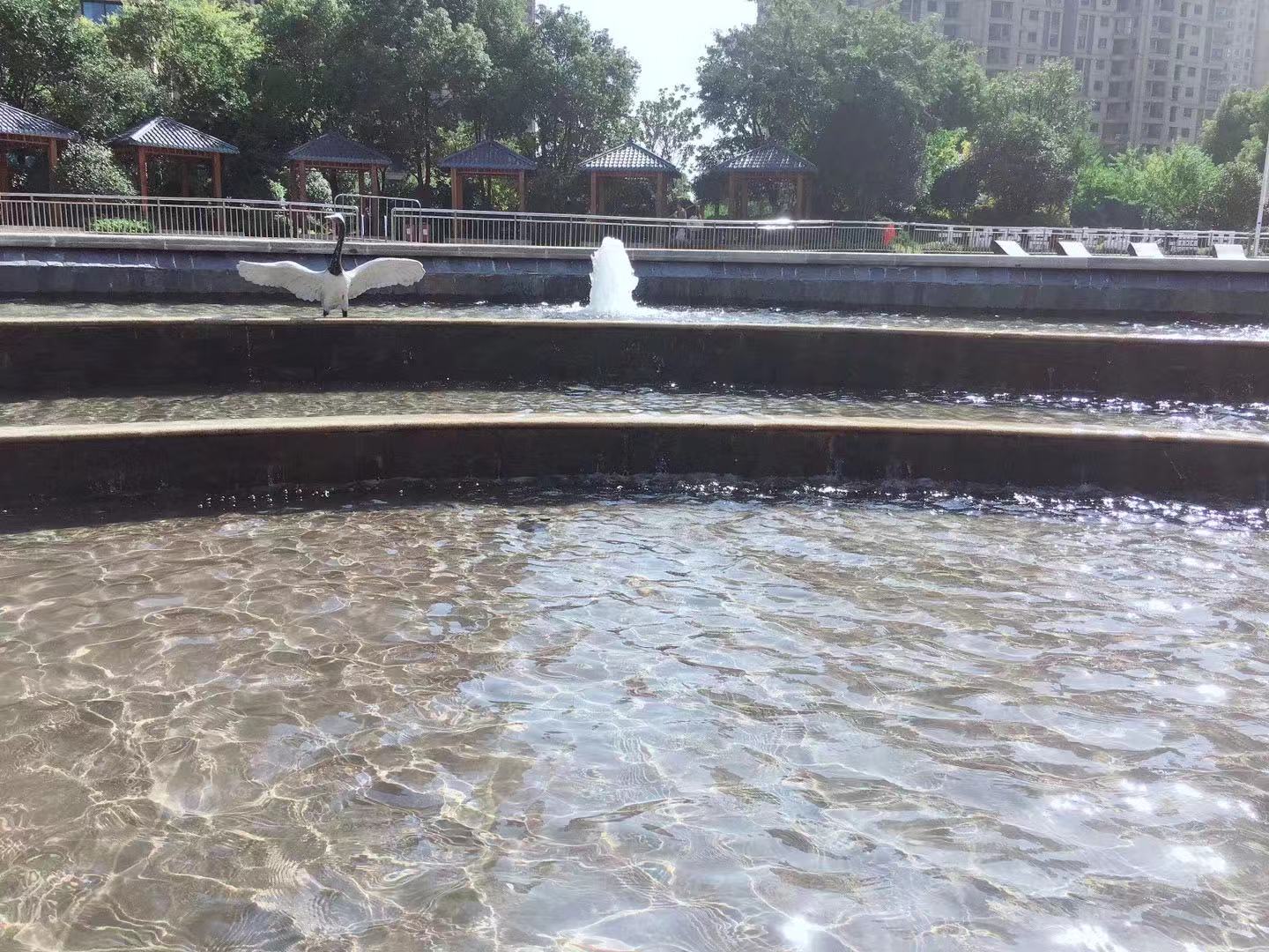 �|����WУ��ô�ӿ��V�᣿һ��W�M���٣��͘Iǰ���ò��ã�