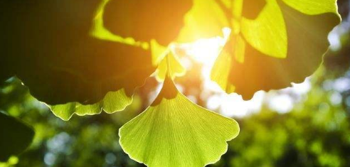 致自己心靜看淡一切釋然的句子大盤點,25句靜心的句子看透人生!