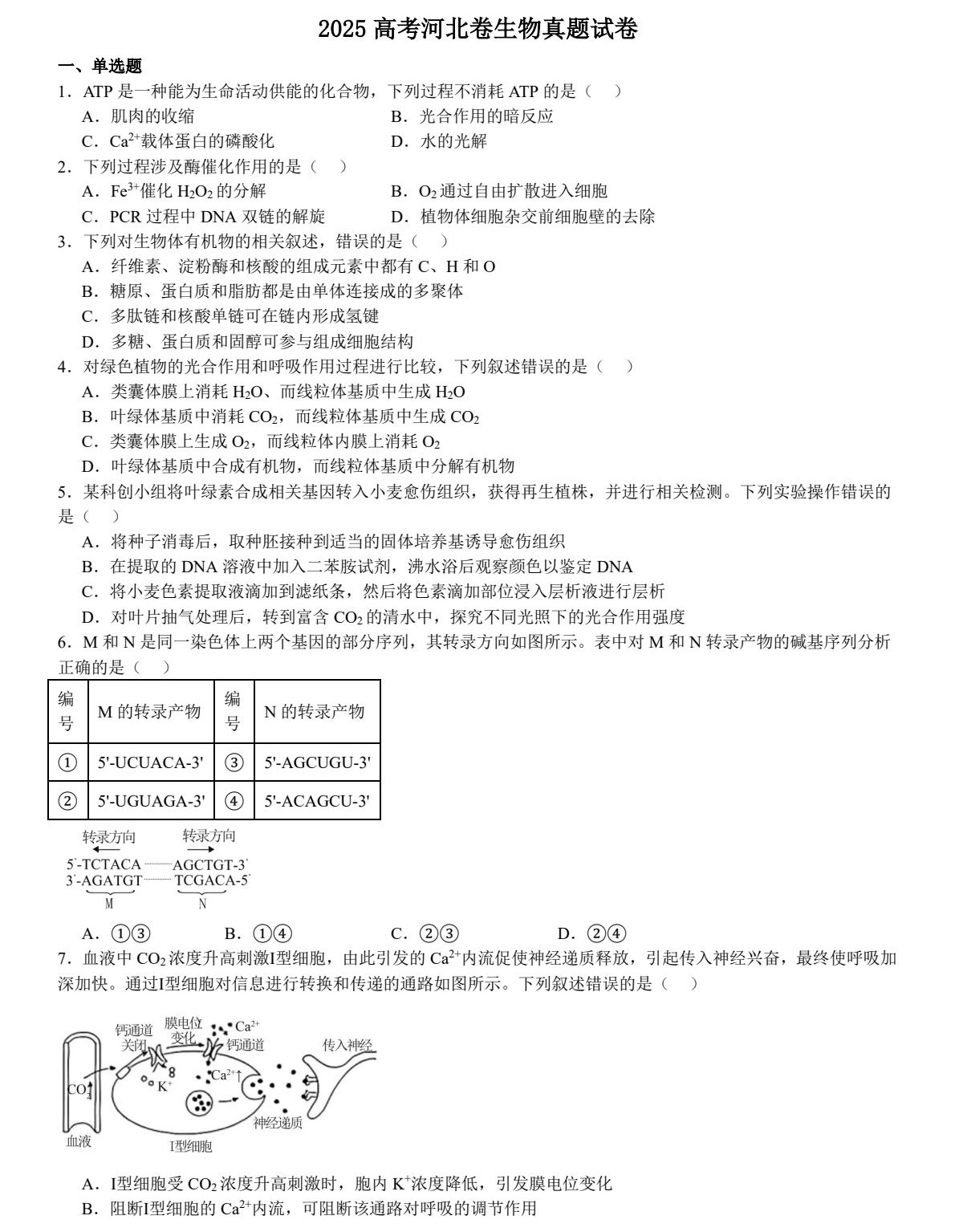 1758702275840760.jpg 2025河北新高考生物試卷真題及答案解析,附考點(diǎn)題型及分值分布