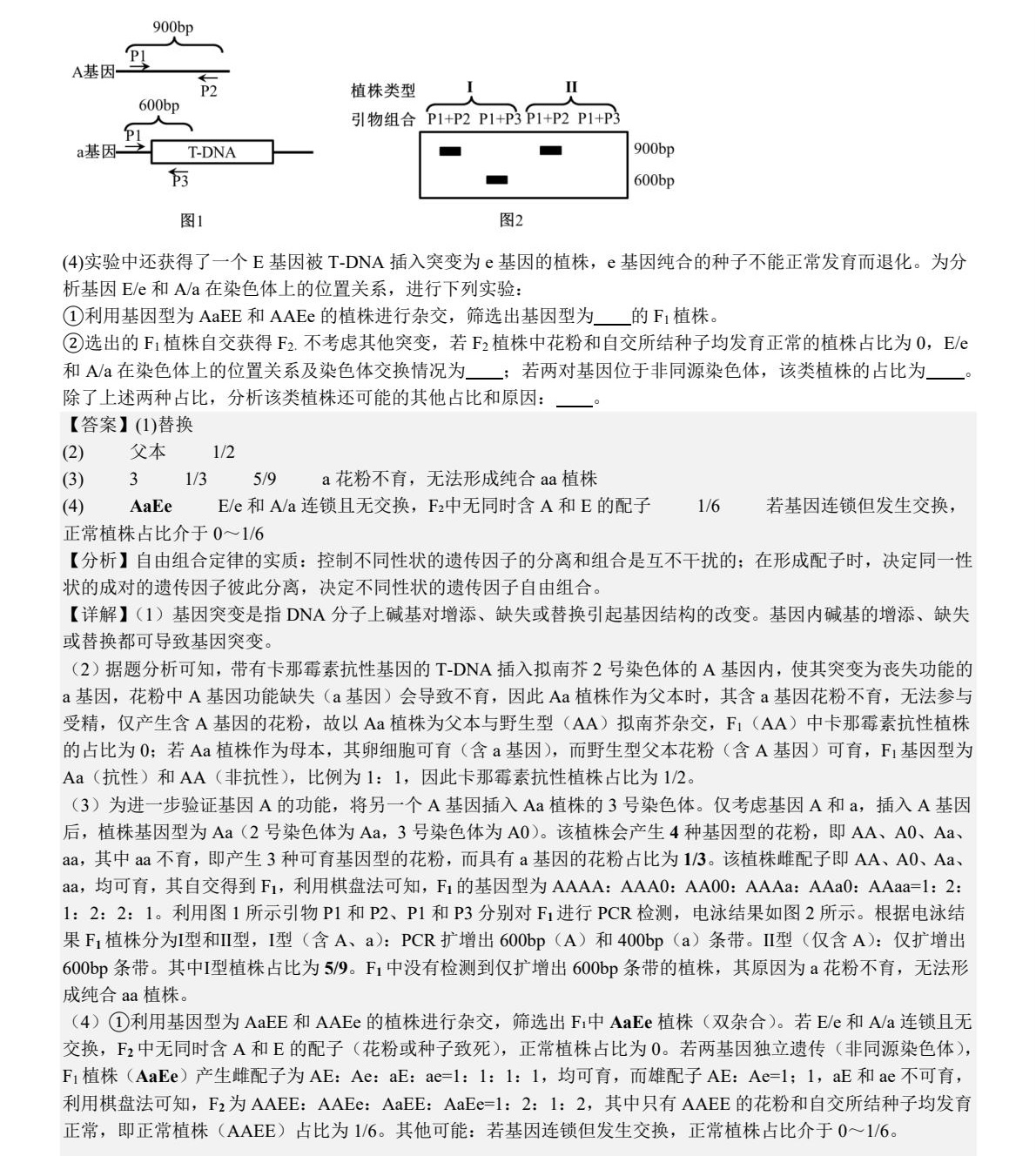 1758702458590757.jpg 2025河北新高考生物試卷真題及答案解析,附考點(diǎn)題型及分值分布