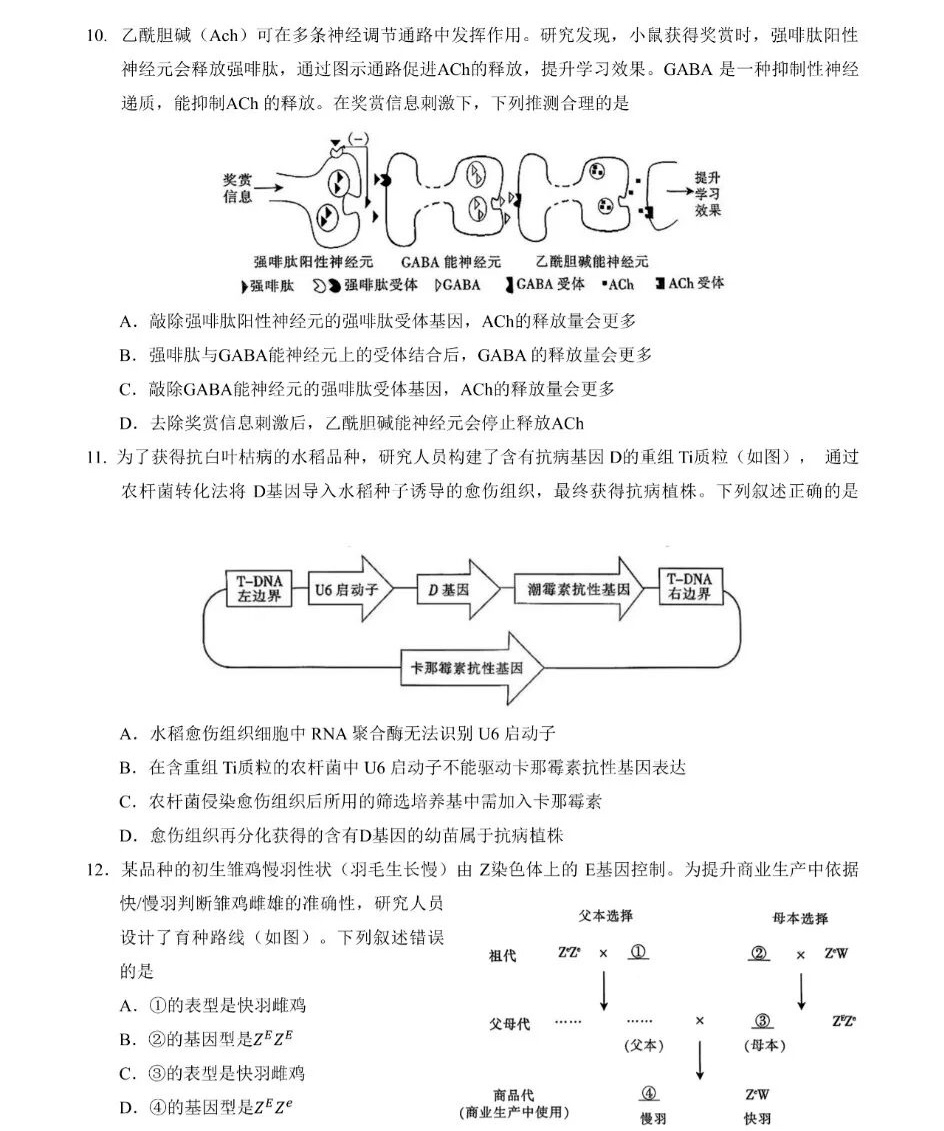 2025�����¸߿�����ԇ�����}���𰸽����������c�}�ͼ���ֵ�ֲ�