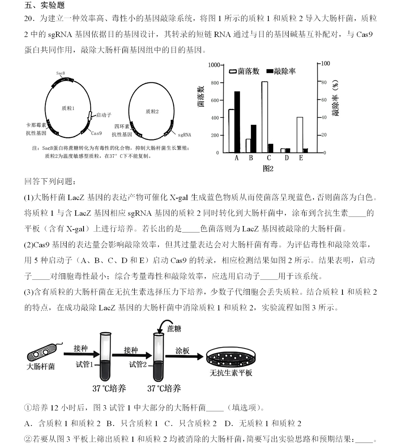 2025¸߿ԇ}𰸽c}ͼֲֵ