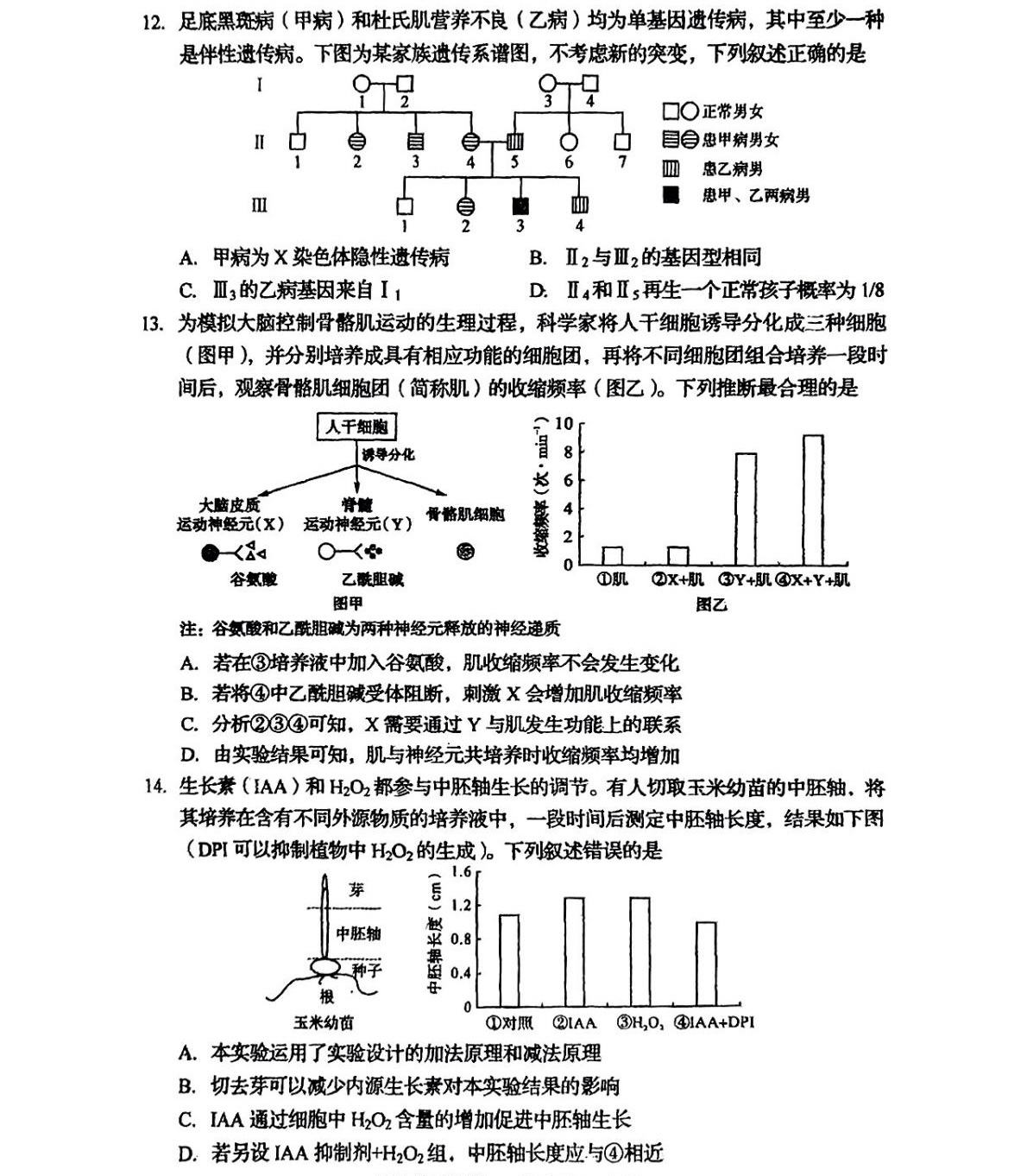 2025�Ĵ��¸߿�����ԇ�����}���𰸽����������c�}�ͼ���ֵ�ֲ�