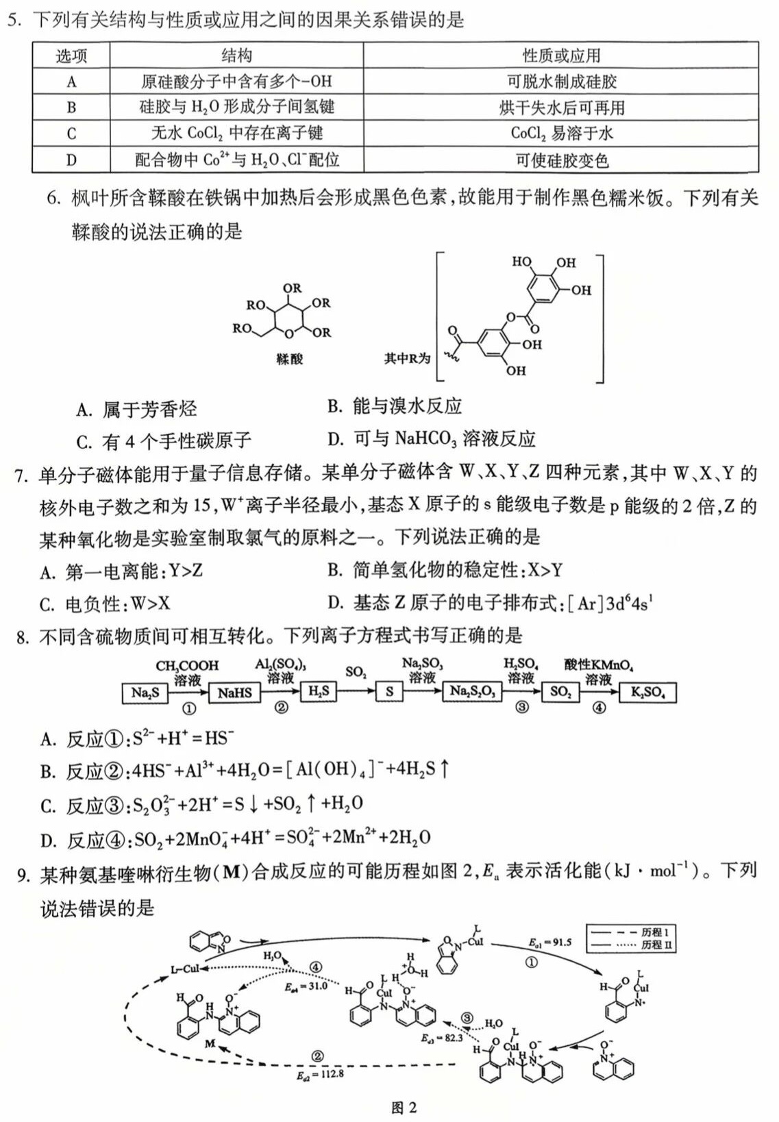 2025�V���¸߿����Wԇ�����}���𰸽����������c�}�ͼ���ֵ�ֲ�